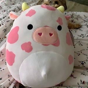 Evangelica Squishmallow